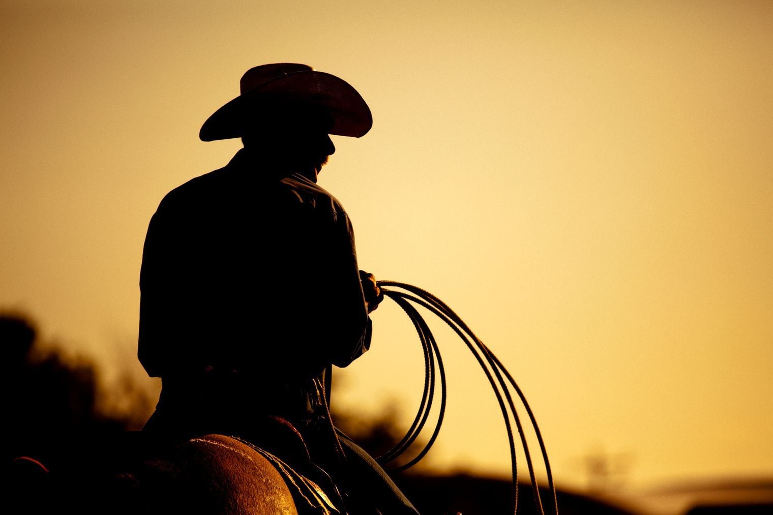 Cowboy mit Hut auf Pferd Cowboy mit Hut auf Pferd